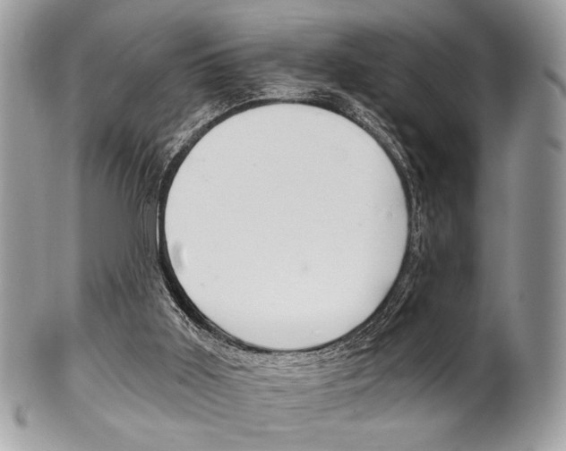 X0000101410011200807071018