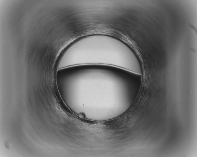X0000101410012200807071018