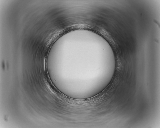 X0000101410014200807071018