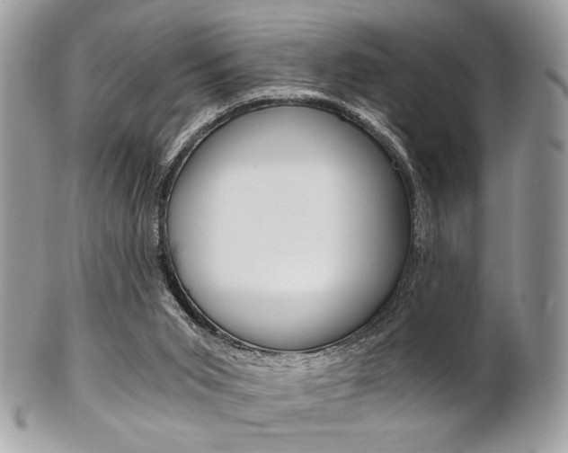X0000101410015200807071018