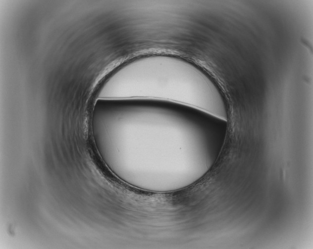 X0000101410016200807071018