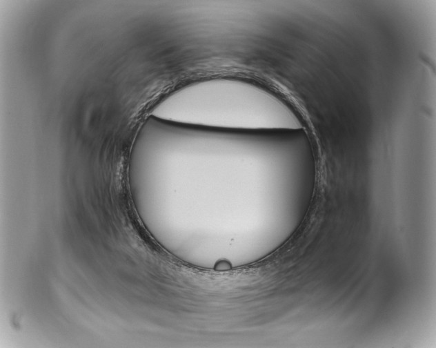 X0000101410018200807071017