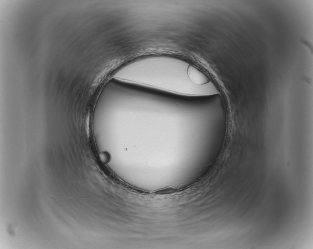 X0000101410019200807071017