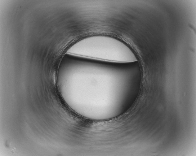 X0000101410021200807071017
