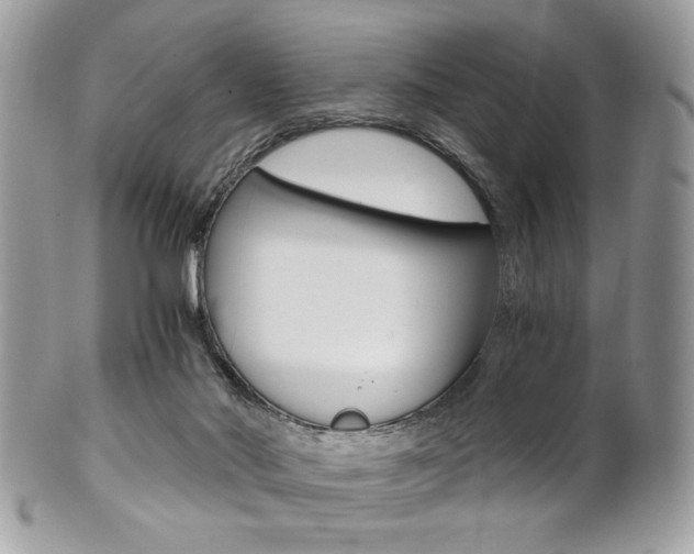 X0000101410022200807071017
