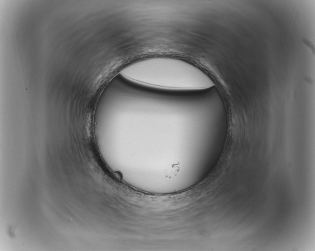 X0000101410023200807071017