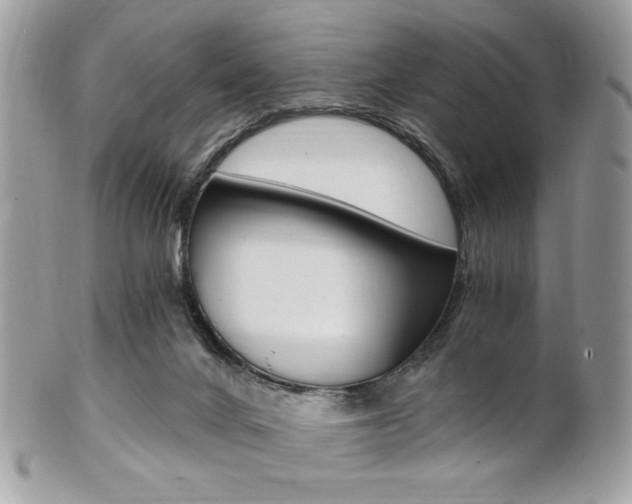 X0000101410024200807071017