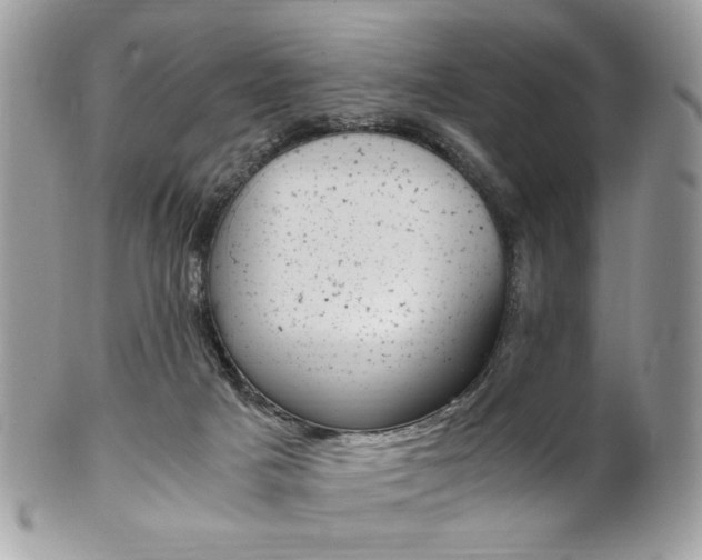 X0000101410025200807071017