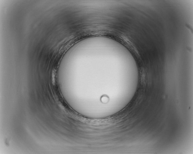 X0000101410026200807071017