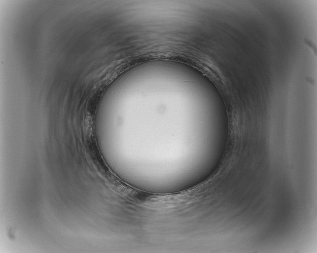 X0000101410029200807071017