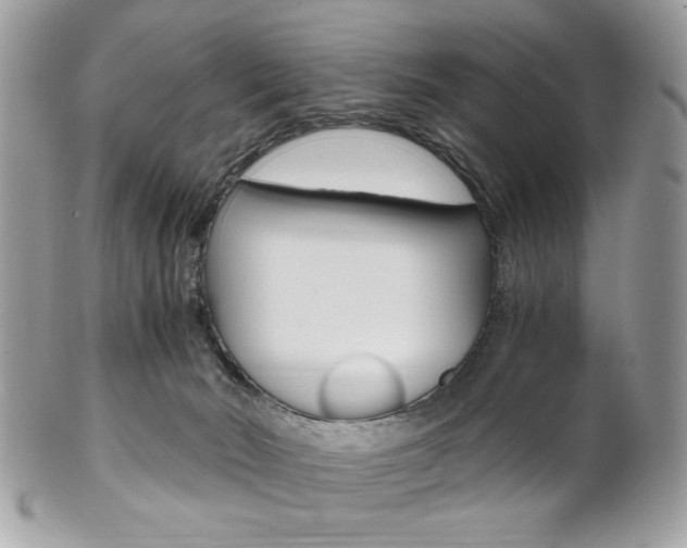 X0000101410030200807071017