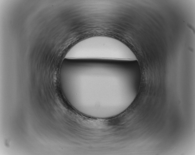 X0000101410032200807071017