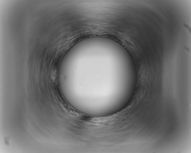 X0000101410033200807071017