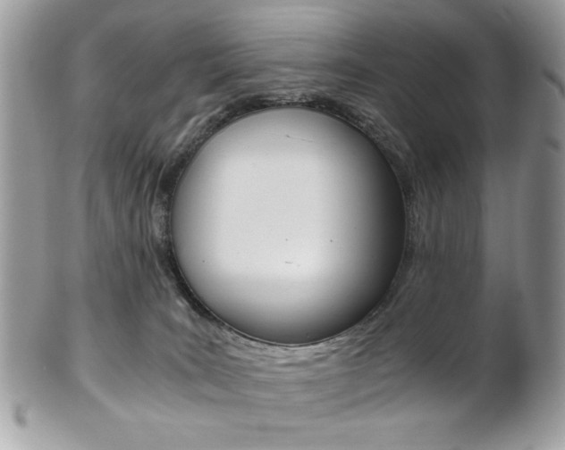 X0000101410035200807071017