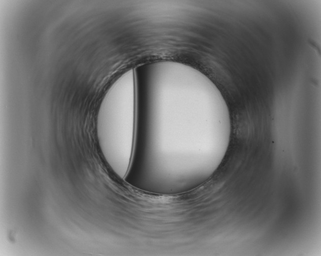 X0000101410036200807071017