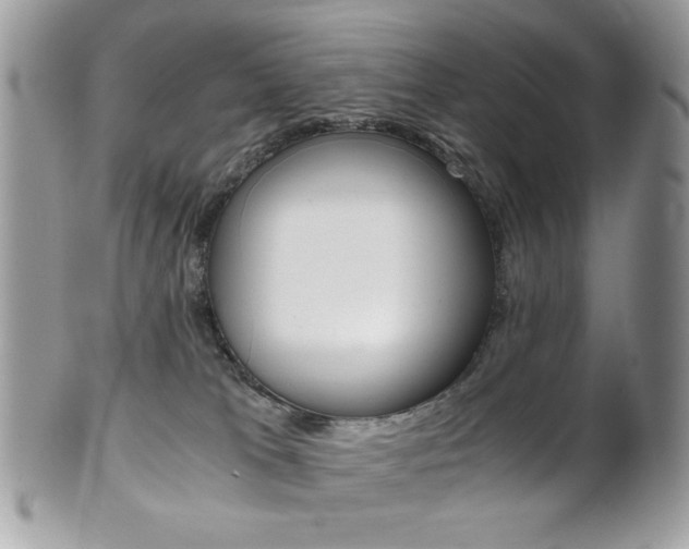 X0000101410037200807071017