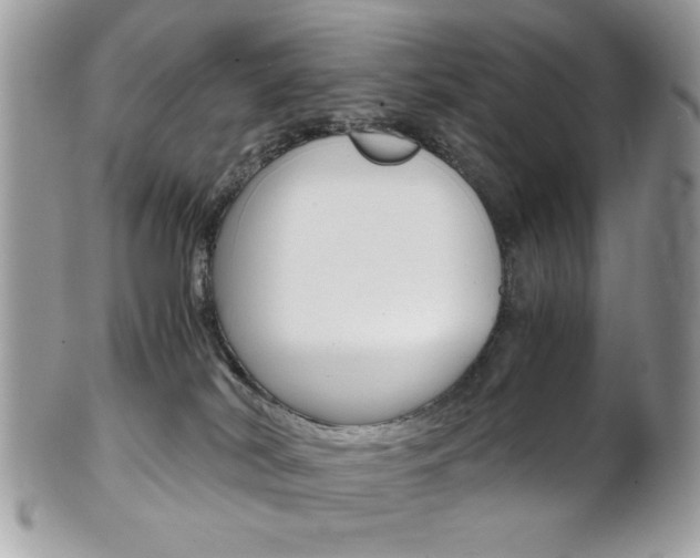 X0000101410038200807071017