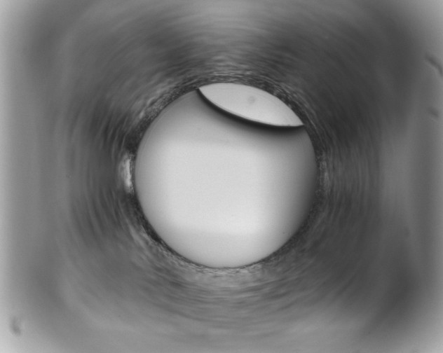 X0000101410042200807071017
