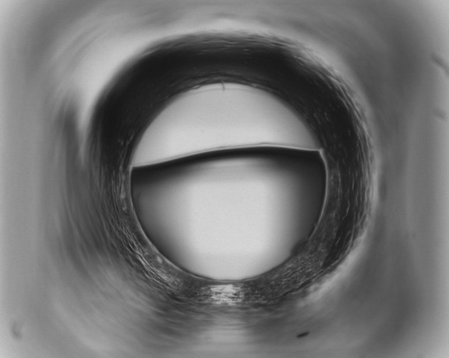 X0000101410050200807071016