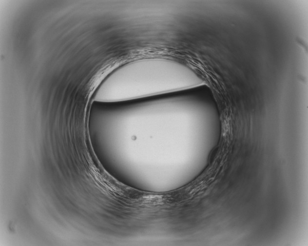 X0000101410052200807071016