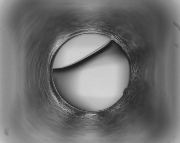 X0000101410055200807071016