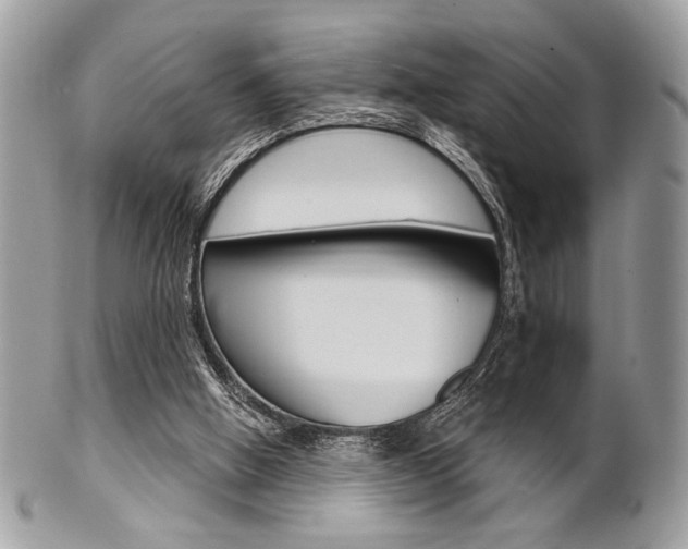 X0000101410058200807071016