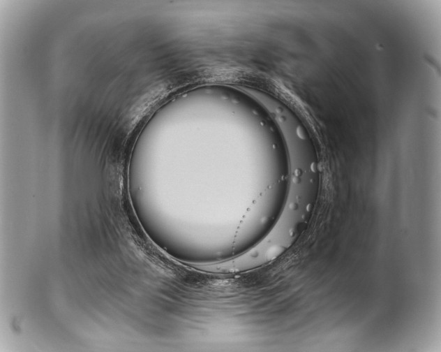 X0000101410059200807071016