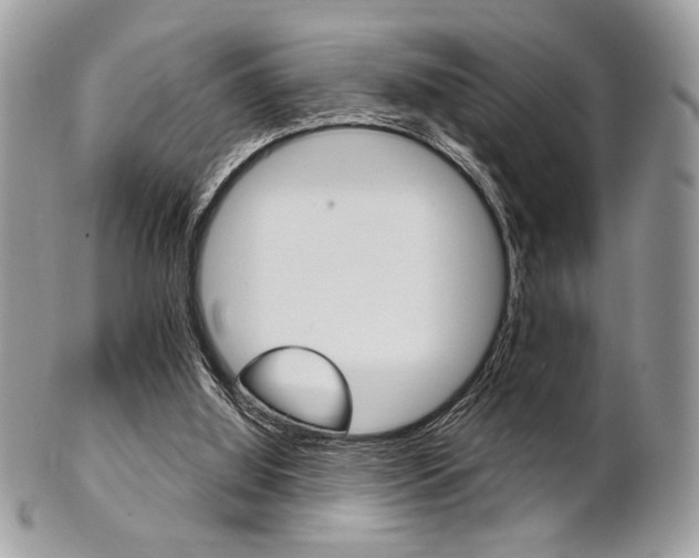 X0000101410060200807071016