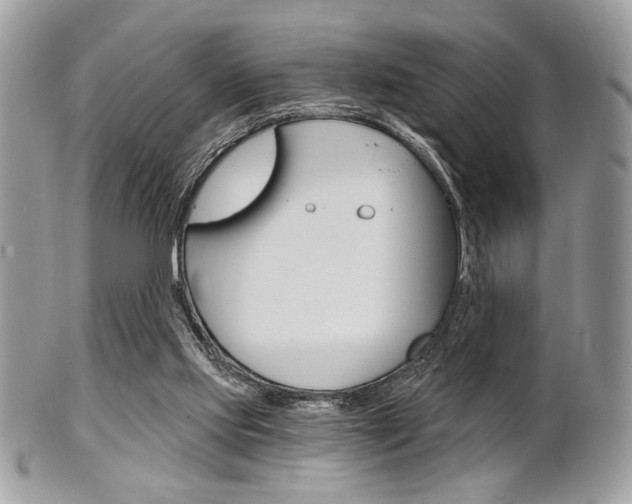 X0000101410061200807071016