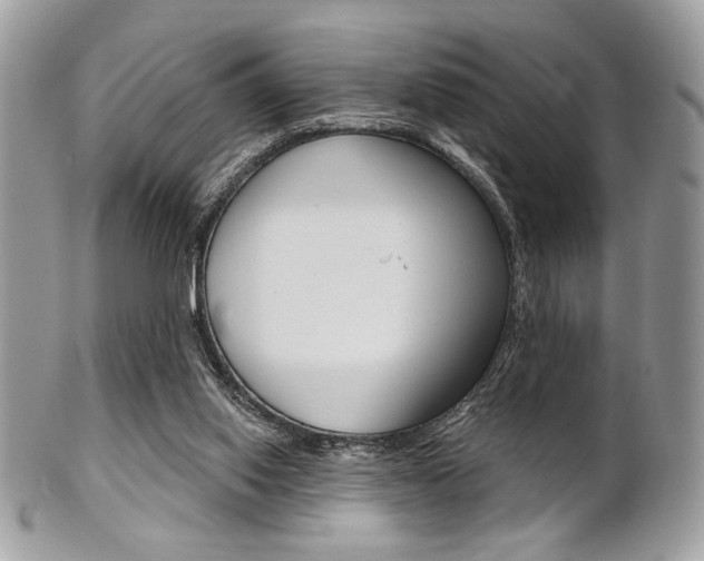 X0000101410062200807071016