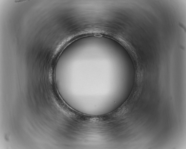 X0000101410064200807071016