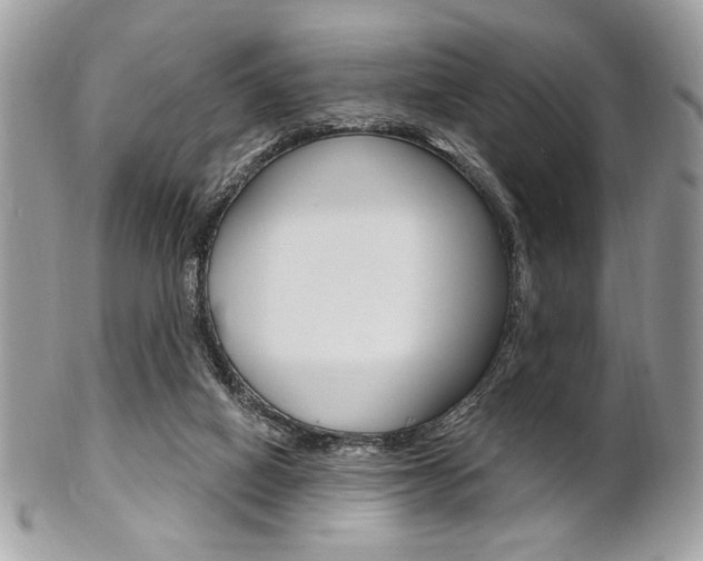 X0000101410066200807071016