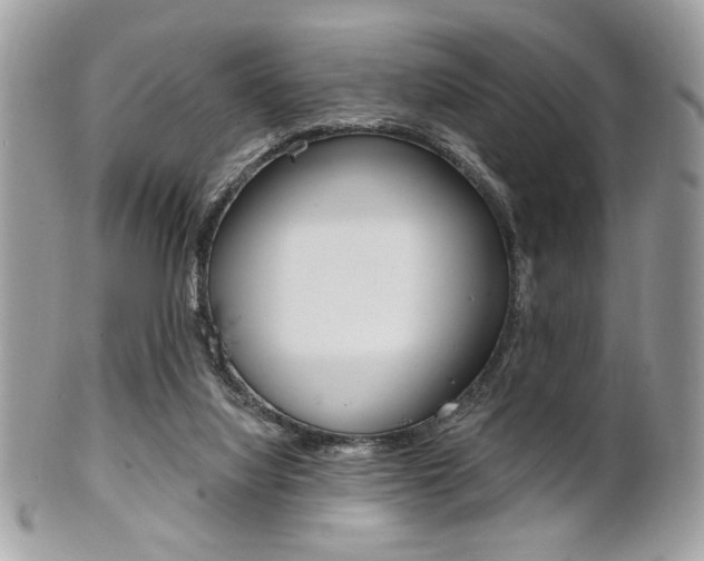 X0000101410068200807071016
