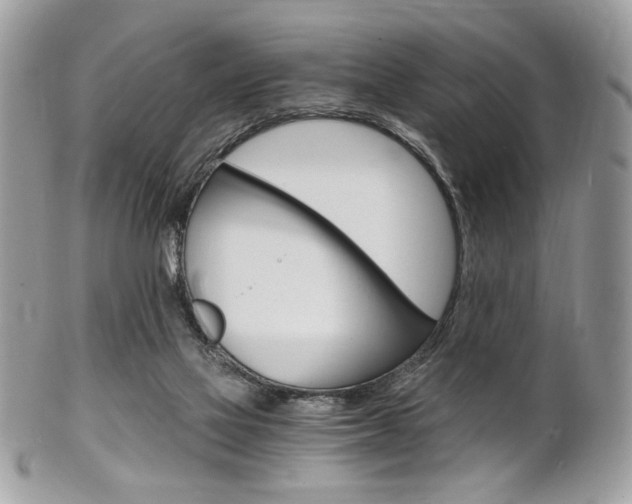 X0000101410069200807071016