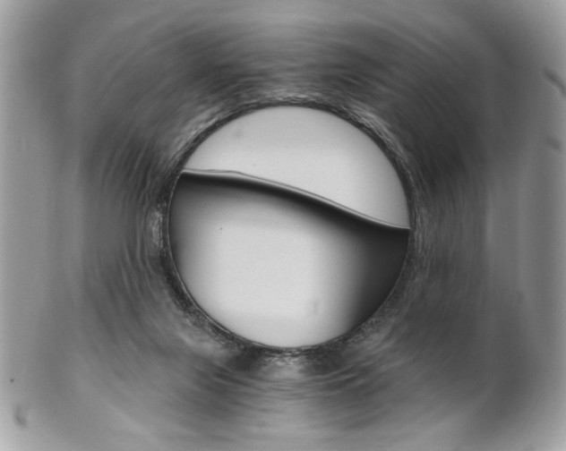 X0000101410071200807071016