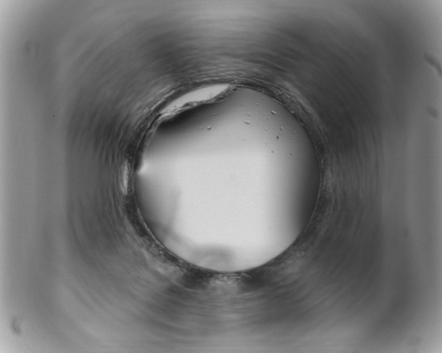 X0000101410076200807071016