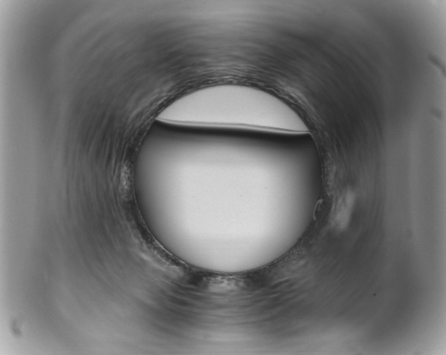 X0000101410077200807071016