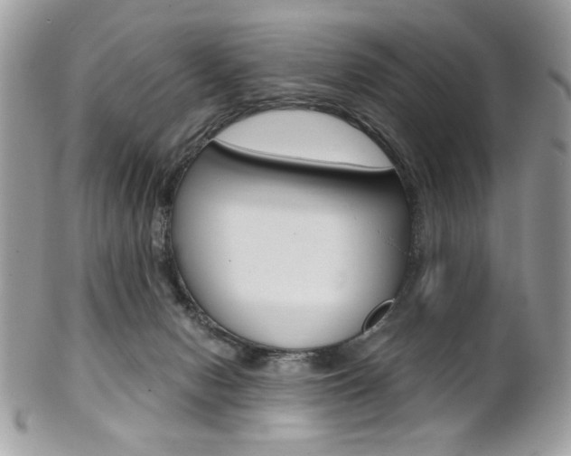 X0000101410078200807071016