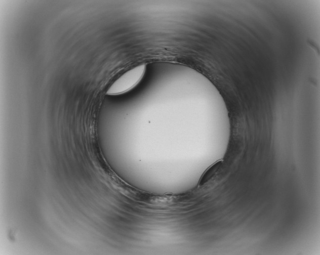 X0000101410084200807071017