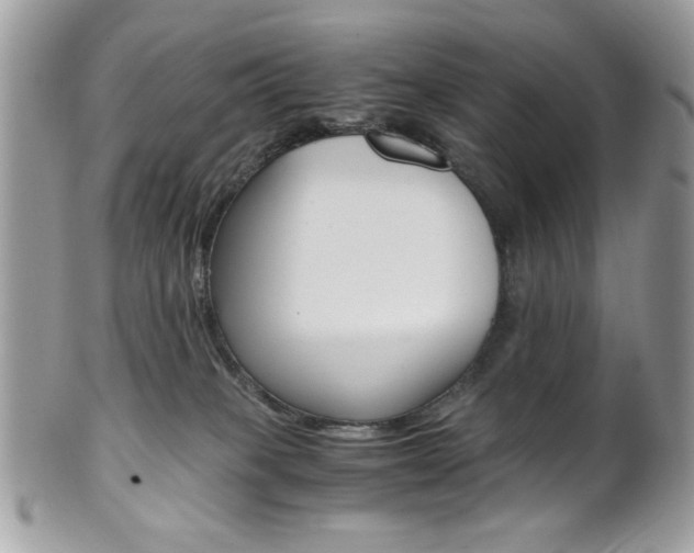 X0000101410085200807071017