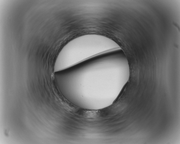 X0000101410089200807071017