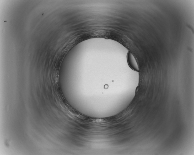 X0000101410091200807071017