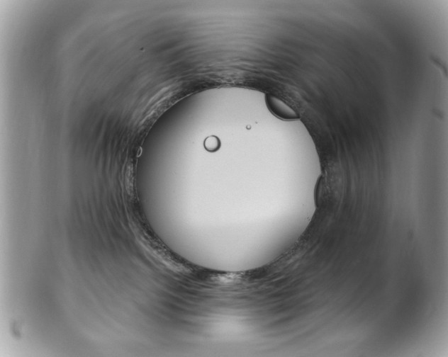X0000101410092200807071017