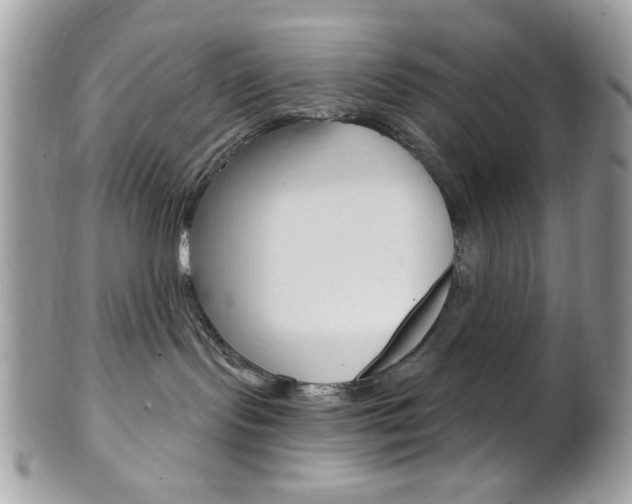 X0000101410095200807071017