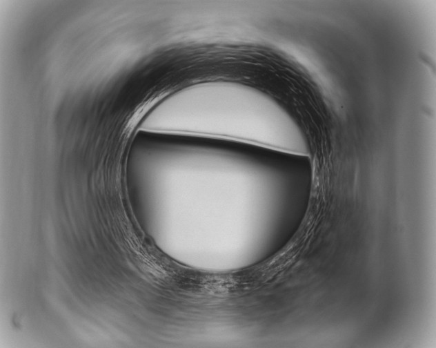 X0000101410099200807071016
