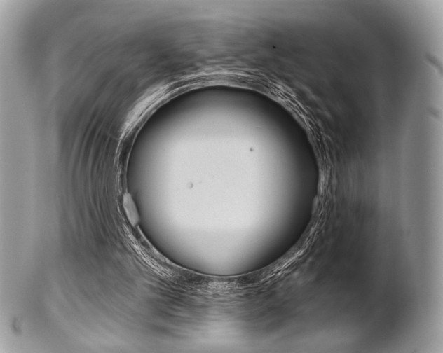 X0000101410101200807071016