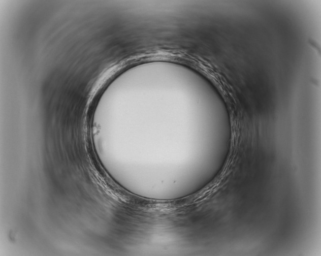 X0000101410102200807071016