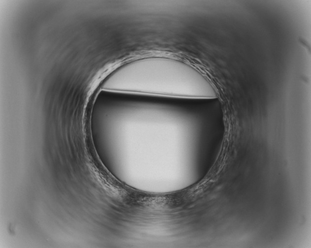 X0000101410104200807071016