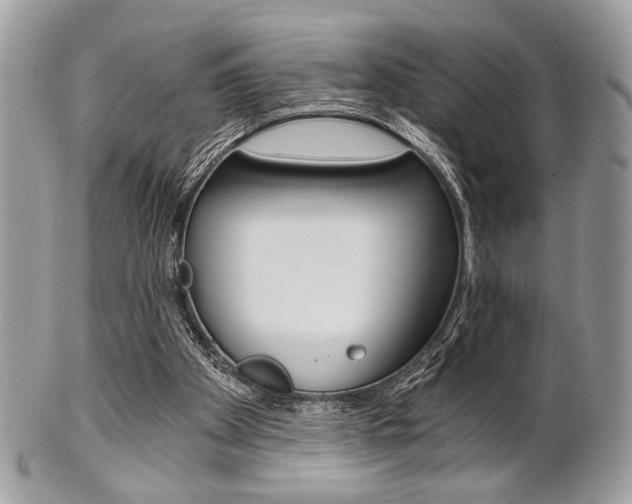 X0000101410105200807071016