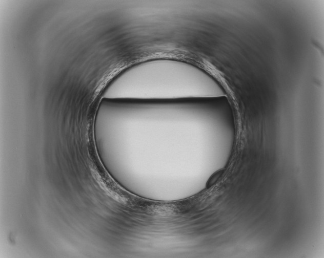X0000101410106200807071016